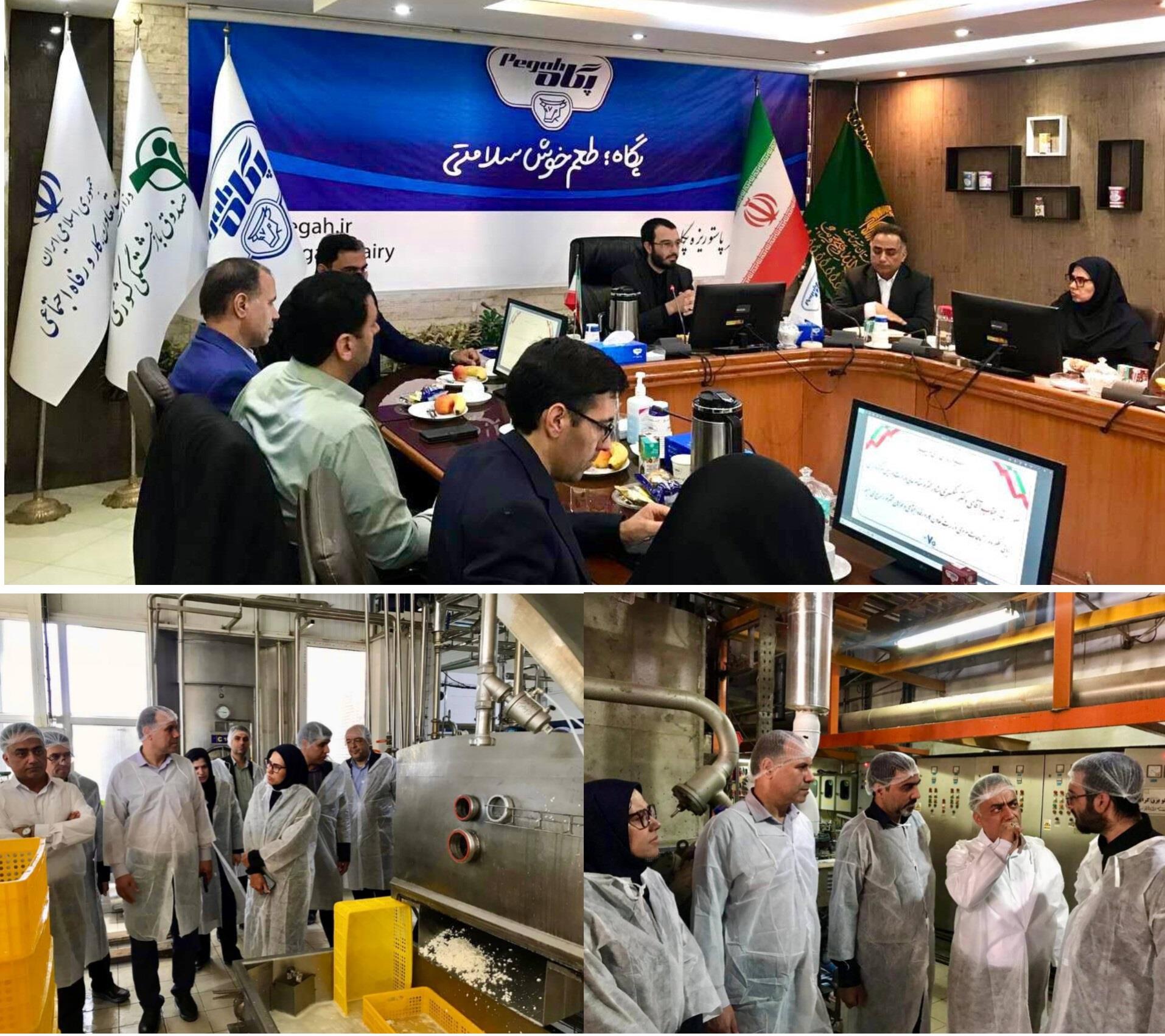 بازدید مشاور وزیر تعاون، کار و رفاه اجتماعی از کارخانه شیر پگاه خراسان رضوی